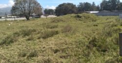 Lote en venta en Cartago, Comercial/Industrial