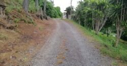 Venta de lote en Ciudad Colón 82millones