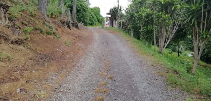 Venta de lote en Ciudad Colón 82millones