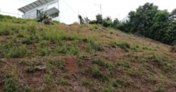Venta de lote en Ciudad Colón 82millones