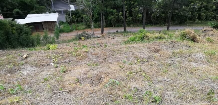 Venta de lote en Ciudad Colón 82millones