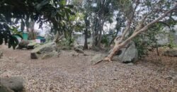 Lote en Venta Cartago, El Carmen
