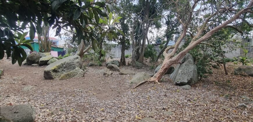 Lote en Venta Cartago, El Carmen
