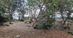 Lote en Venta Cartago, El Carmen