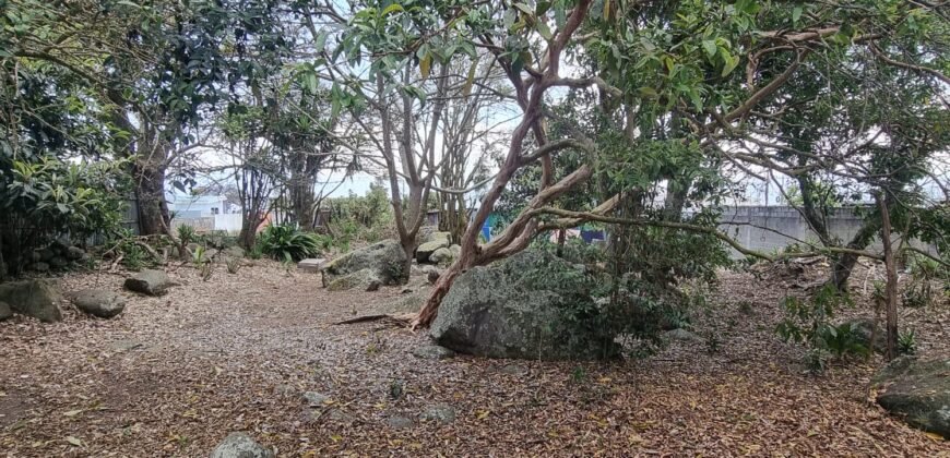 Lote en Venta Cartago, El Carmen