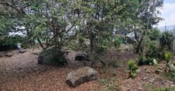 Lote en Venta Cartago, El Carmen