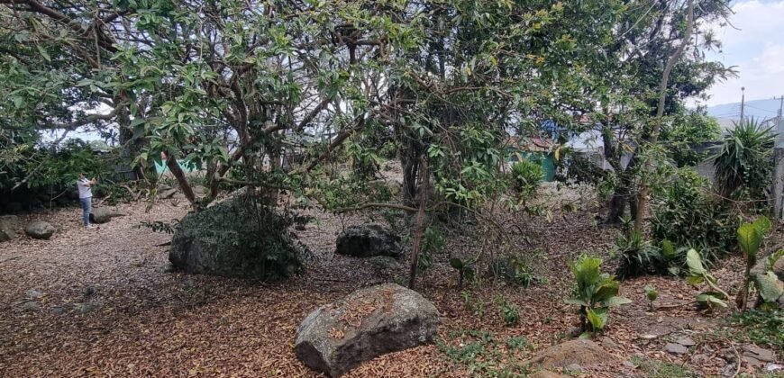 Lote en Venta Cartago, El Carmen