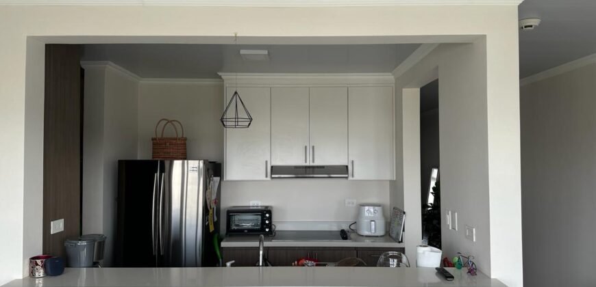 Apartamento en San Pedro, para alquilar