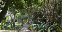 Apartamento en venta en La Floresta ($143,000)