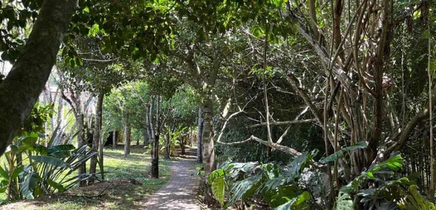Apartamento en venta en La Floresta ($143,000)