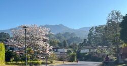 Apartamento en venta en La Floresta ($143,000)