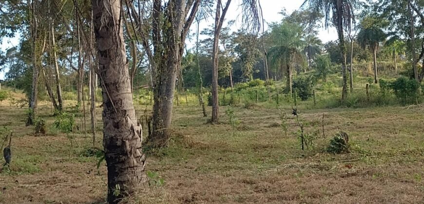 Venta de Quintas en Puntarenas, Bajamar