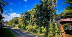 Venta de Quinta en La Garita, Alajuela