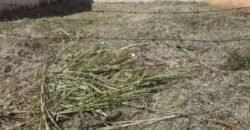 Lote en San Rafael de Tres Ríos