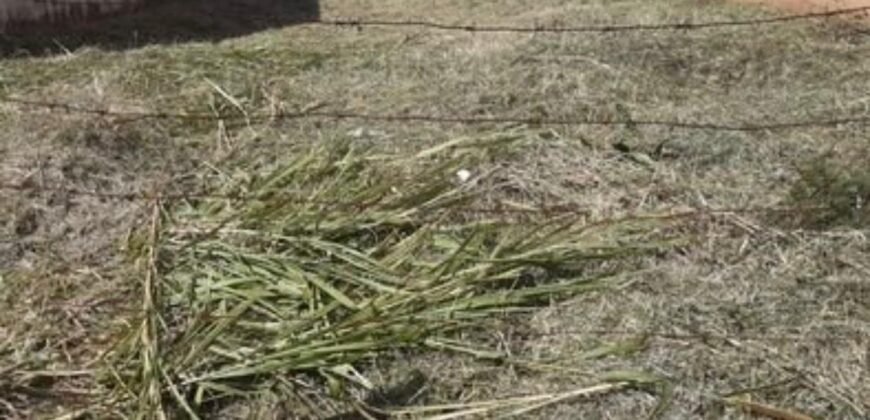 Lote en San Rafael de Tres Ríos