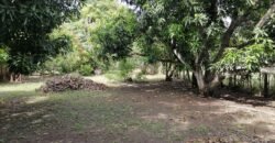 Venta de casa Playa Tivives, Puntarenas