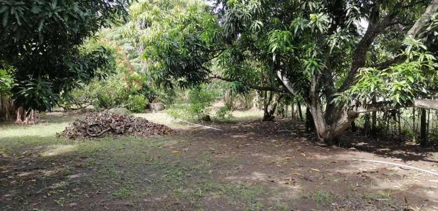 Venta de casa Playa Tivives, Puntarenas